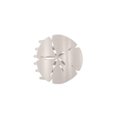 Sand Dollar Medium Flat Hair Clip