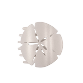 Sand Dollar Large Flat Hair Clip