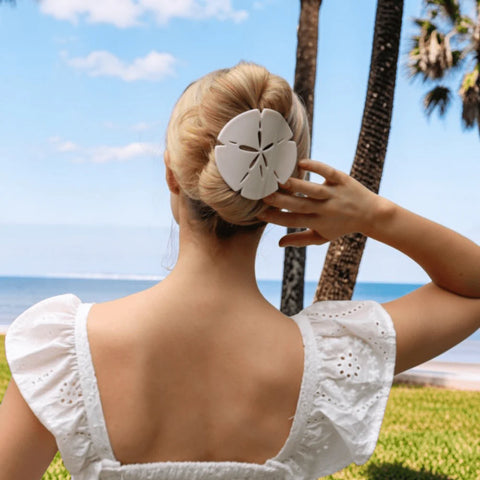 Sand Dollar Large Flat Hair Clip
