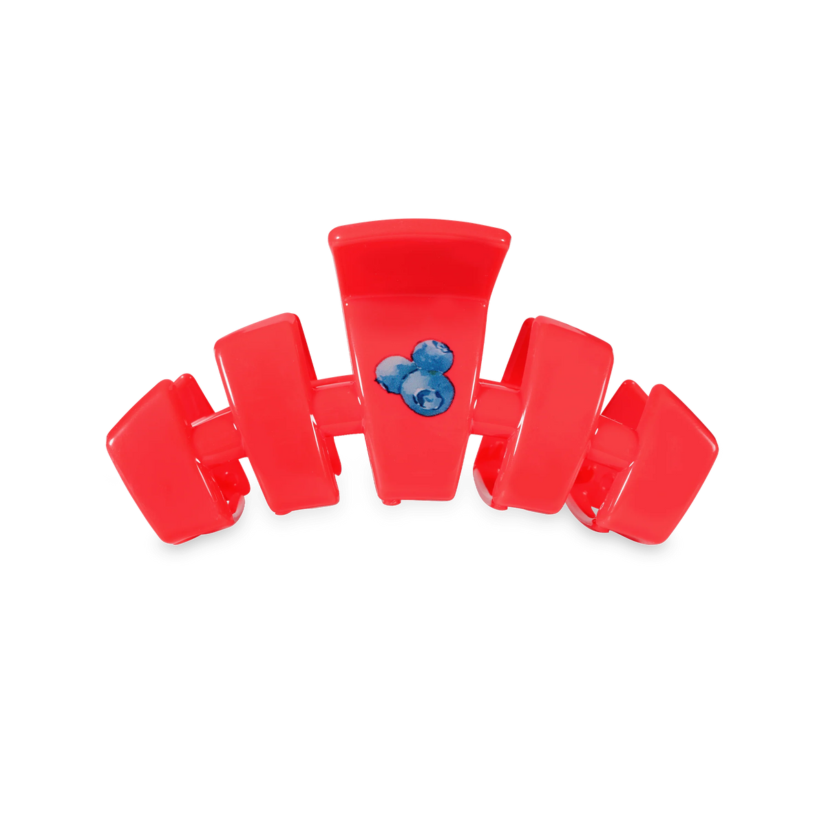 Classic Blueberry Farms Small Claw Clip