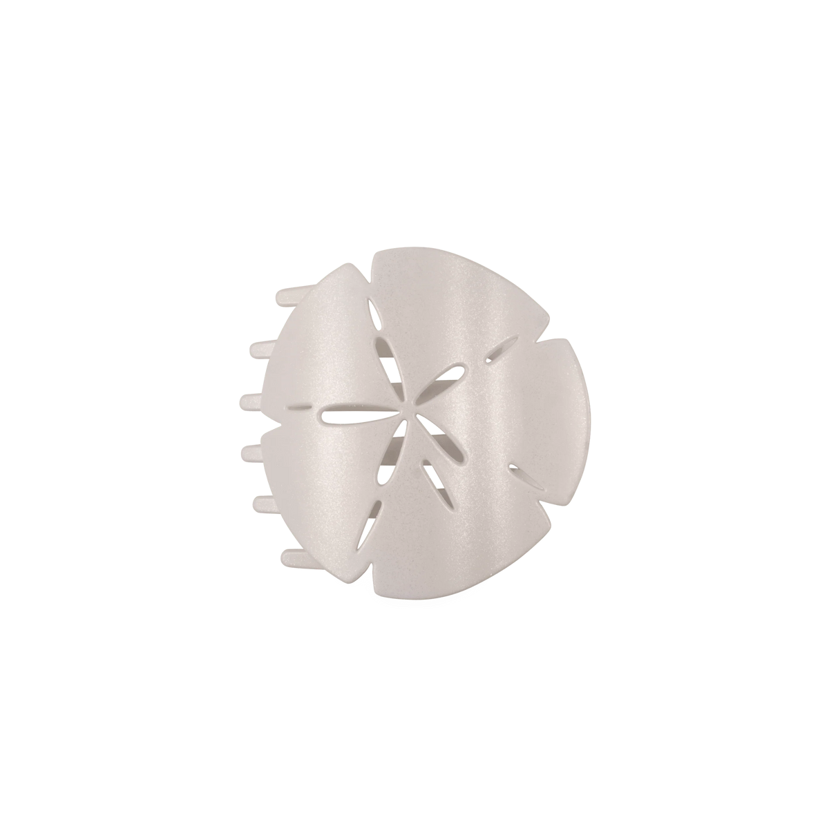 Sand Dollar Medium Flat Hair Clip
