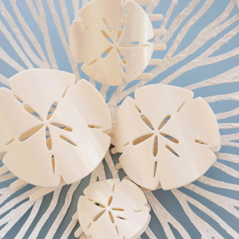 Sand Dollar Large Flat Hair Clip
