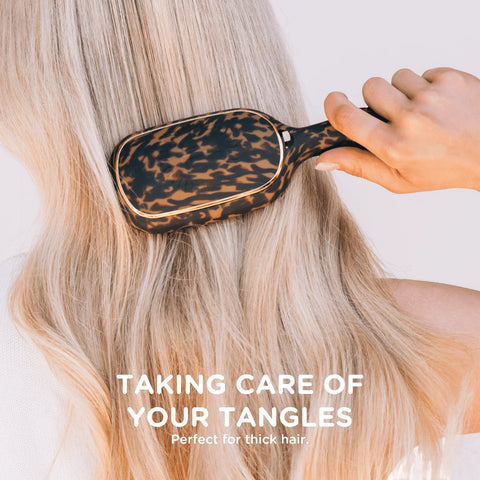 Detangler Hair Brush for Thick Hair – Tortoise