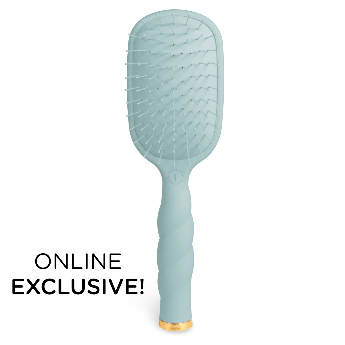 Detangler Hair Brush for Fine Hair – Blue