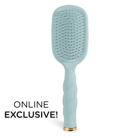 Detangler Hair Brush for Thick Hair – Blue